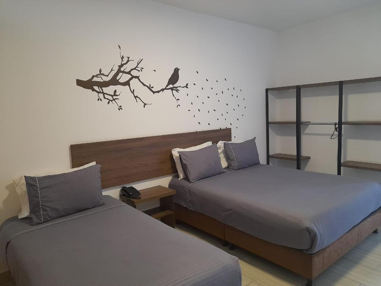 Hotel Entre Lomas Santa Rosa de Cabal Extérieur photo